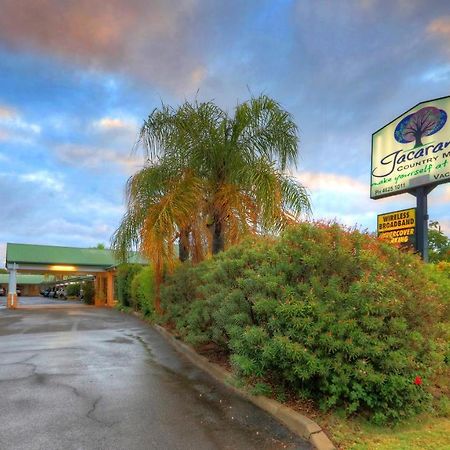 Jacaranda Country Motel Saint George Exterior foto